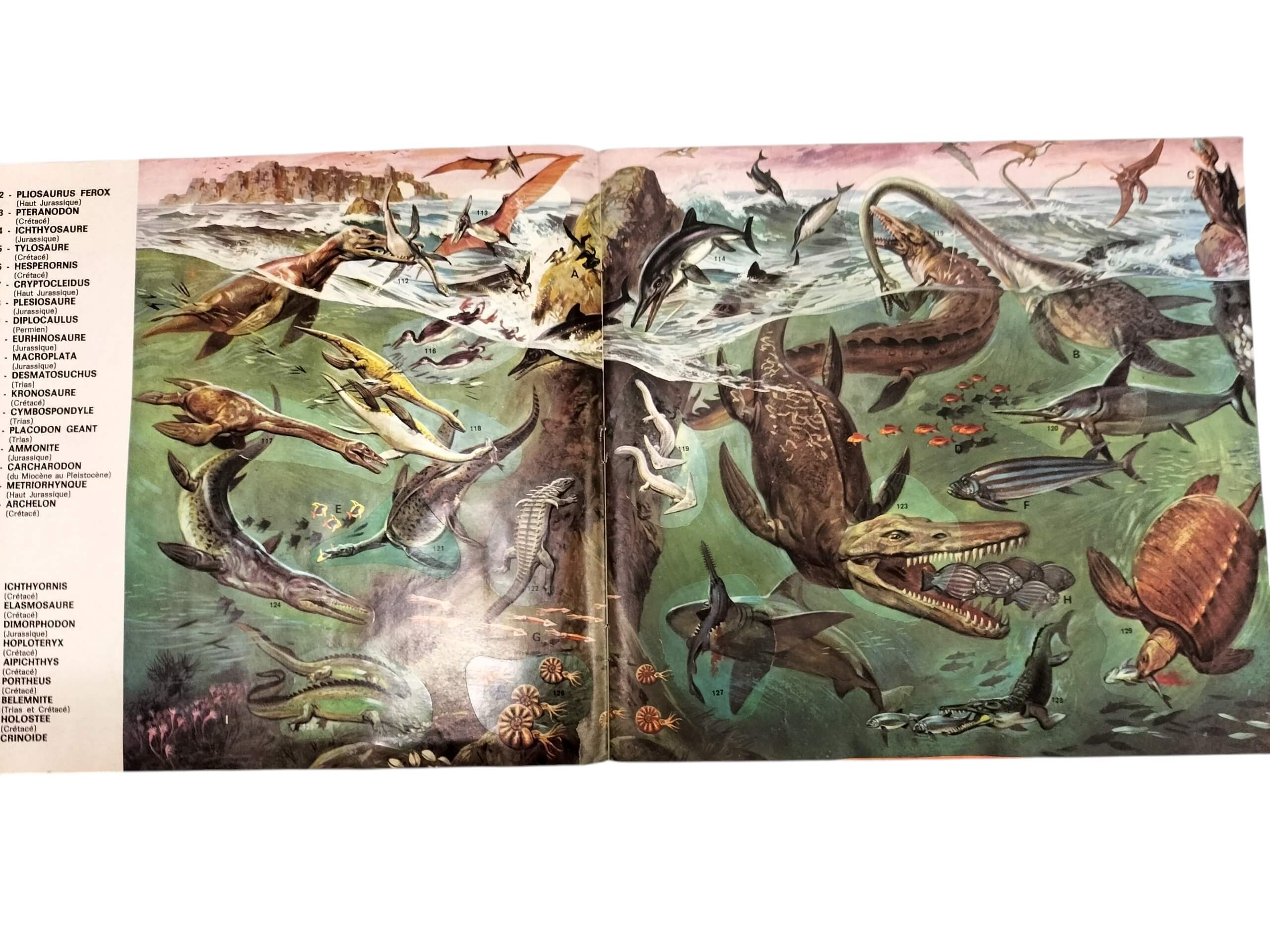 album panini animaux préhistorique 1974 vintage