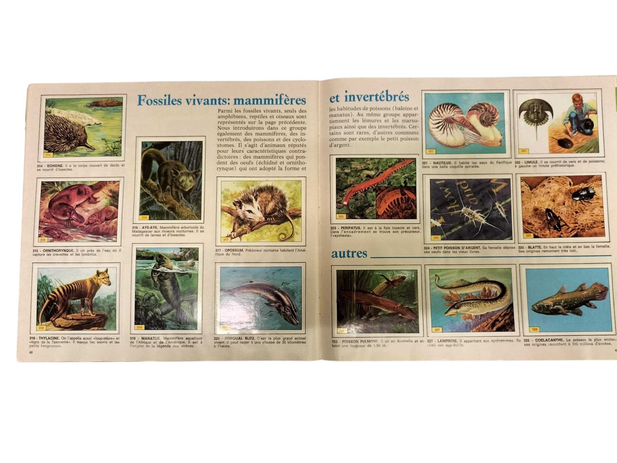 album panini animaux préhistorique 1974 vintage